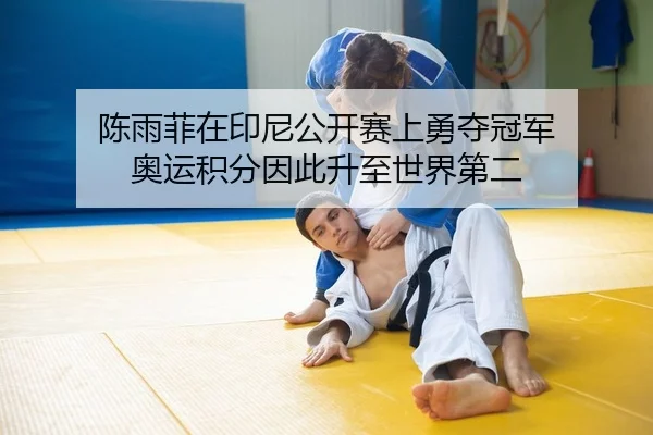 chen-yu-fei-zai-yin-ni-gong-kai-sai-shang-yong-duo-guan-jun-ao-yun-ji-fen-yin-ci-sheng-zhi-shi-jie-di-er-2-822.jpg